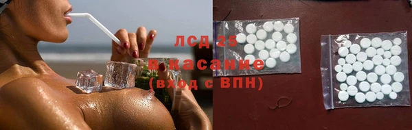 хмурый Алексин