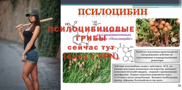 герыч Алексеевка