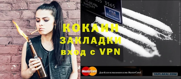 хмурый Алексин
