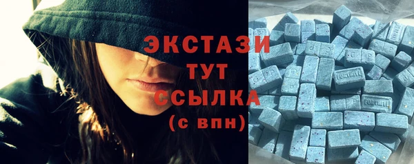 хмурый Алексин