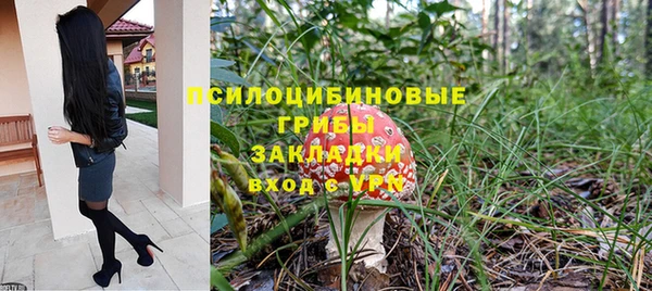 хмурый Алексин