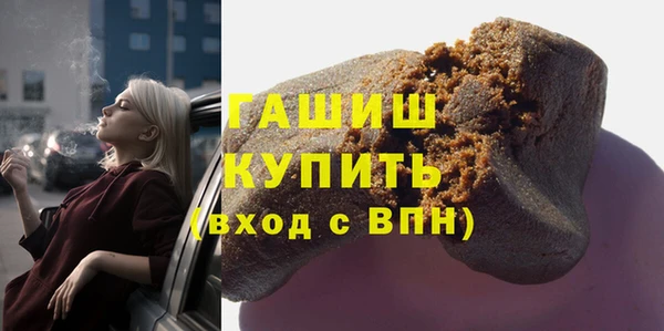 хмурый Алексин
