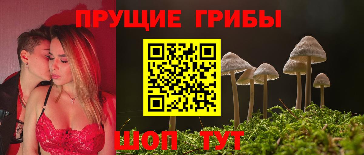 Галлюциногенные грибы мицелий Кропоткин